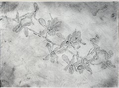 Dendrobium