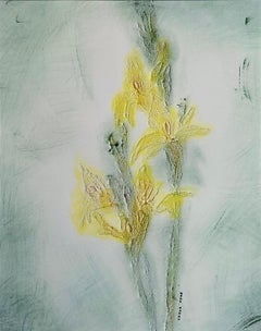 Glaïeul