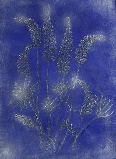 Lavander