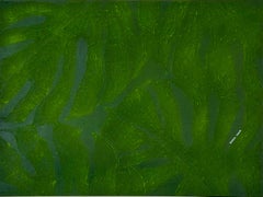 Monstera verde claro