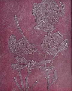 Magnolia Borgoña