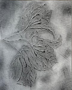 Buganvilla monocroma