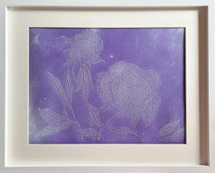 Pfingstrose Violette Blume 