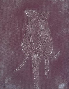 Bocciolo di rosa