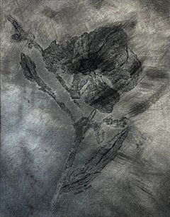 L'anima della rosa d'argento