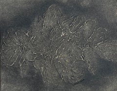 Rosa selvatica in grigio