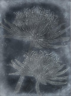 Tropische Wildblumen