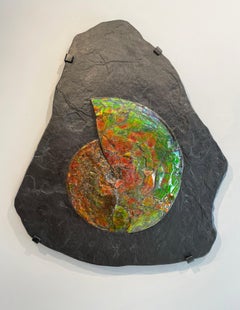 Rare Wall Mounted Iridescent Ammonite Fossil in Grey Slate