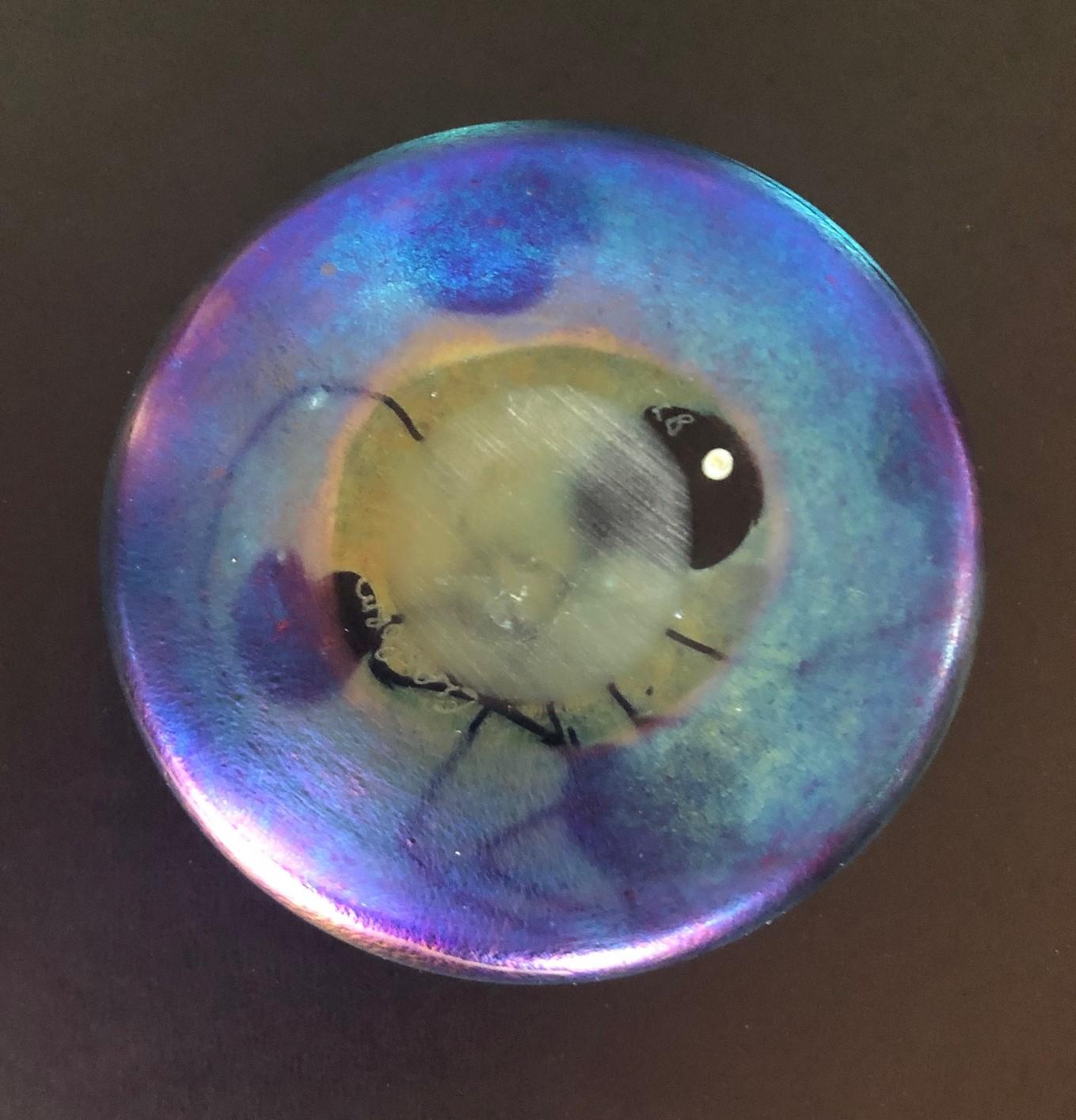 Iridescent Art Glass Frog Paperweight by John Ditchfield / Glasform In Good Condition In San Diego, CA
