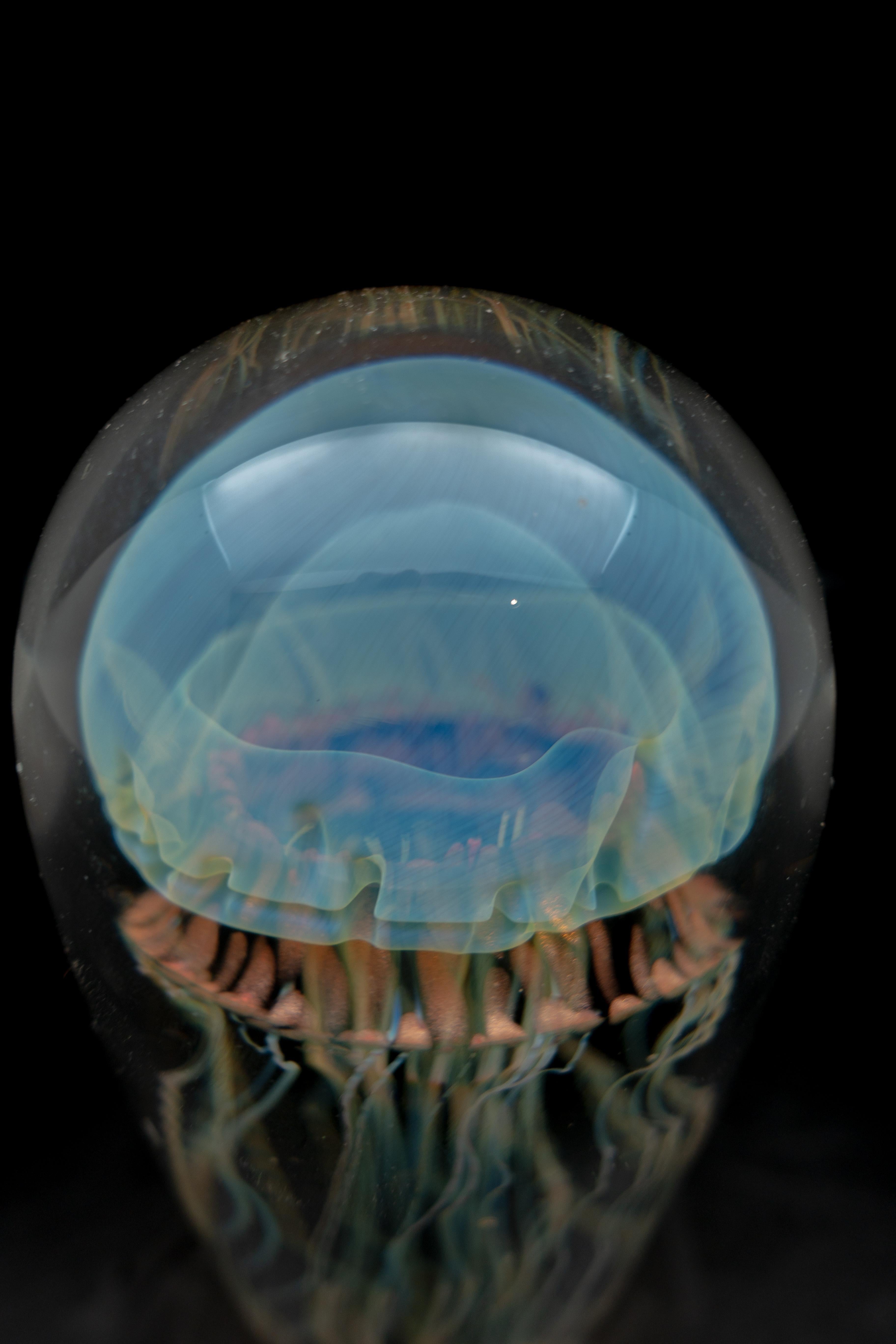 Other Iridescent Blue Handblown Jellyfish Glass Sculpture