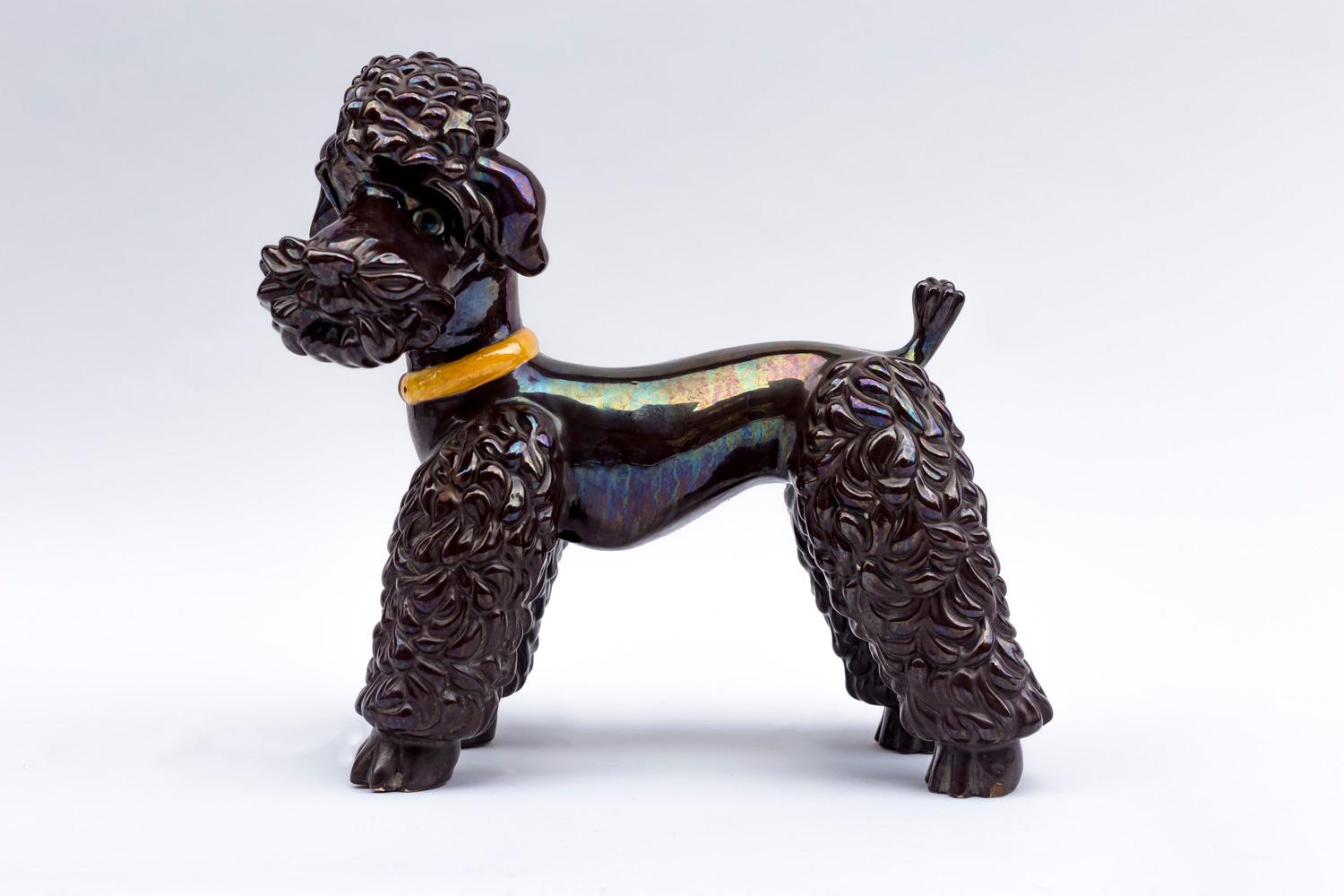 Iridescent brown earthenware sculpture figuring a groomed poodle with short coat on its body and curly long hair on its paws and head, head turned to left, with a yellow necklace around its neck. Its eyes are in sulphide. 

Work realized in the