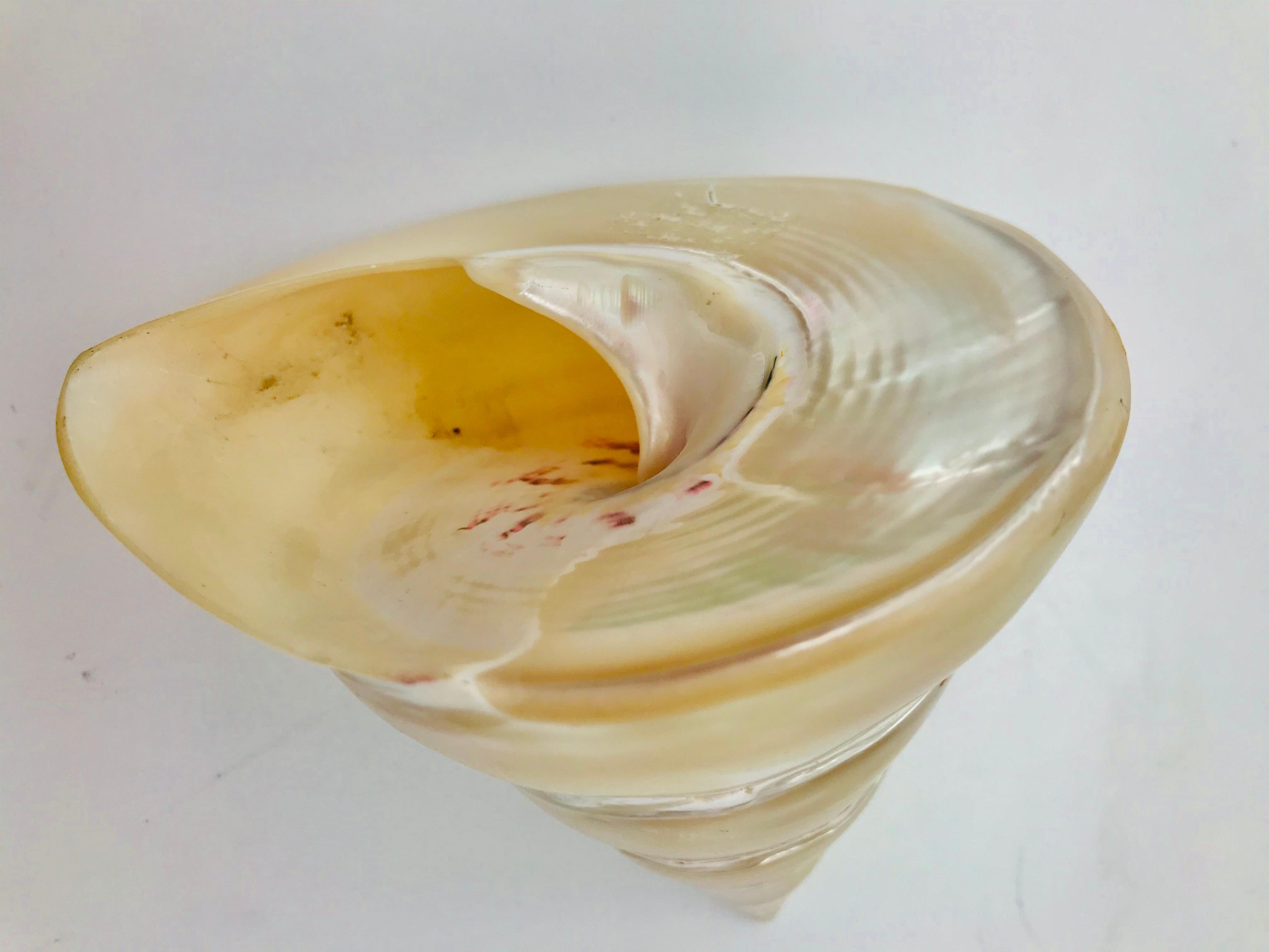 Women's Iridescent  French Deco Nacre Up-cycled Peach Pendant /Brooch by Sylvia Gottwald For Sale
