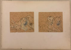 Gepaarte Studien von Löwen im Profil Britische Zeichnung der Moderne der 1960er Jahre