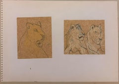 Estudios pareados de leones de perfil Dibujo modernista británico de los años 60