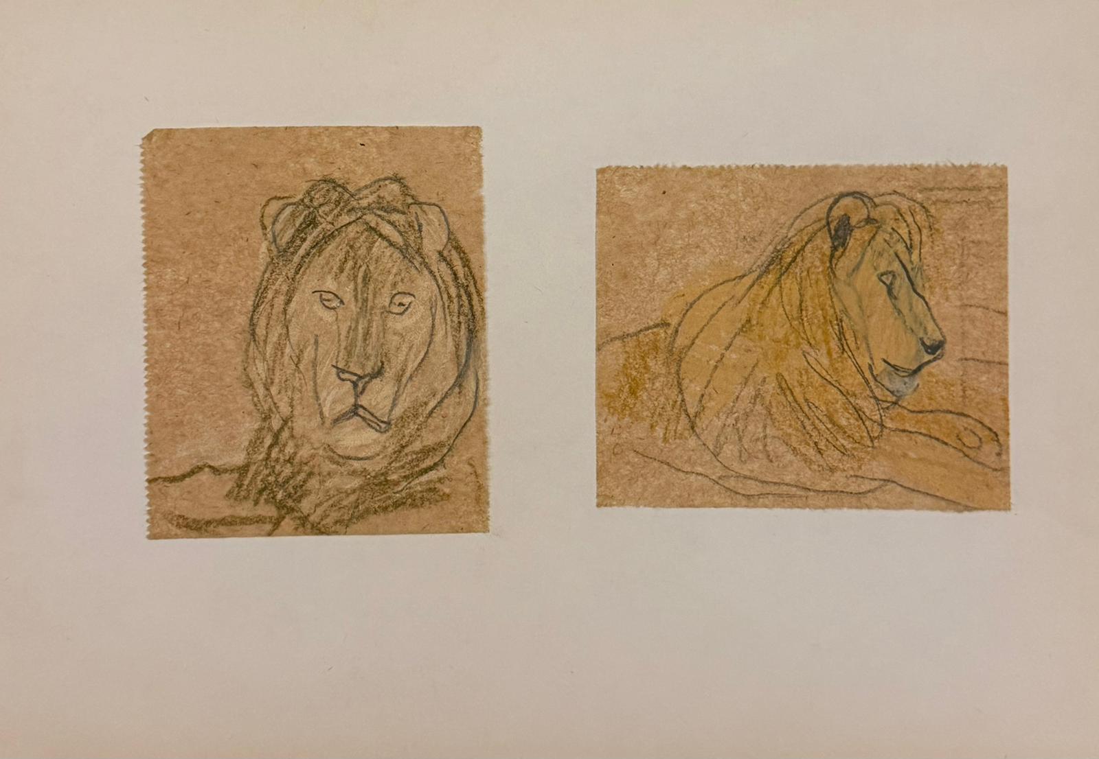 Paired Studies of Lions in Profile 1960
s British Modernist Drawing