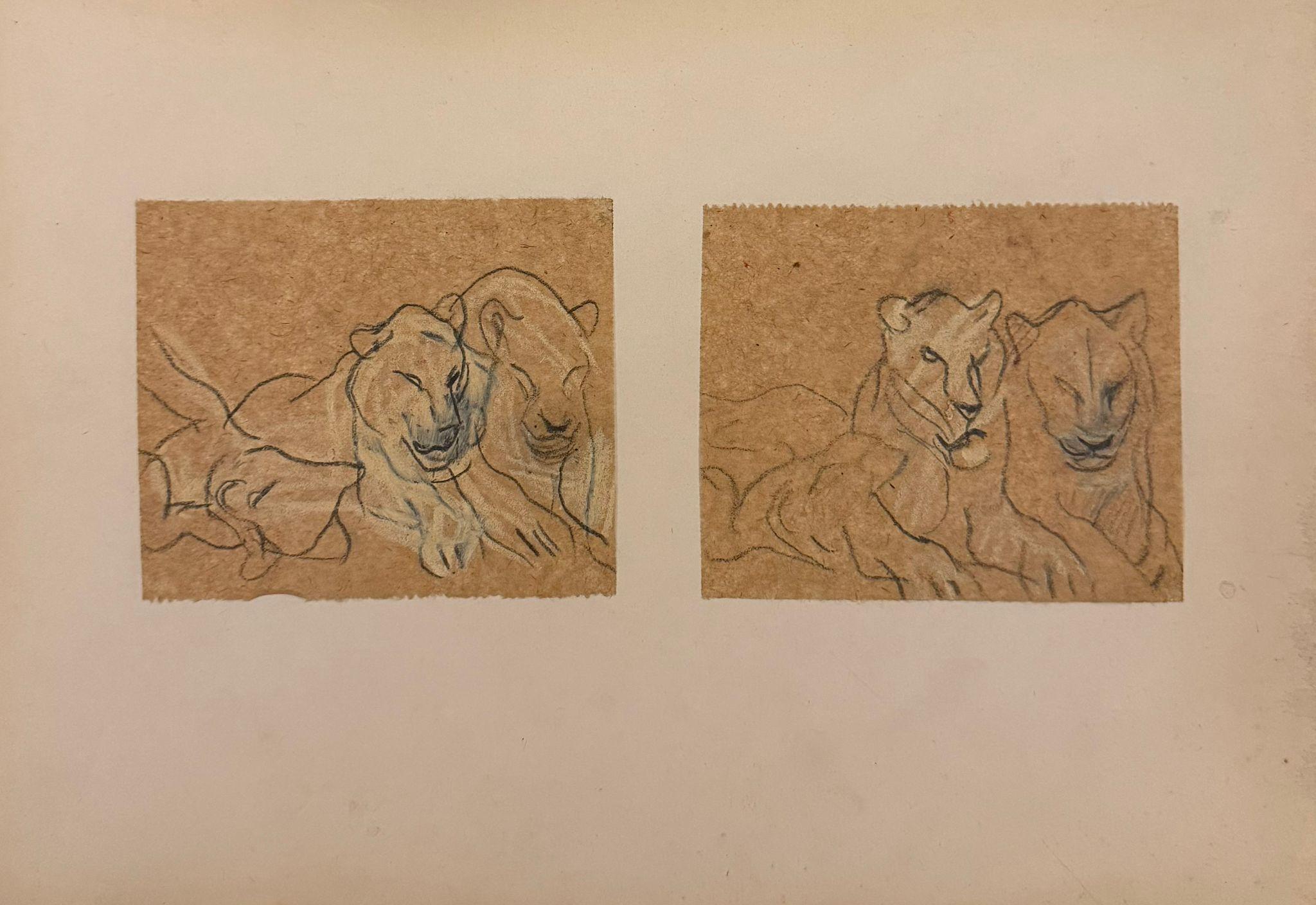 Paired Studies of Lions in Profile 1960
s British Modernist Drawing