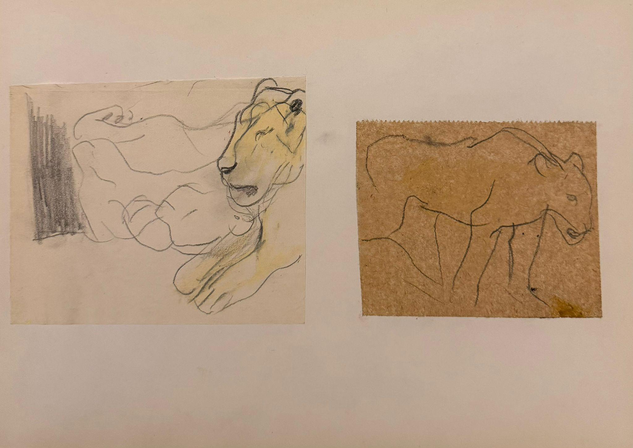 Paired Studies of Lions in Profile 1960
s British Modernist Drawing