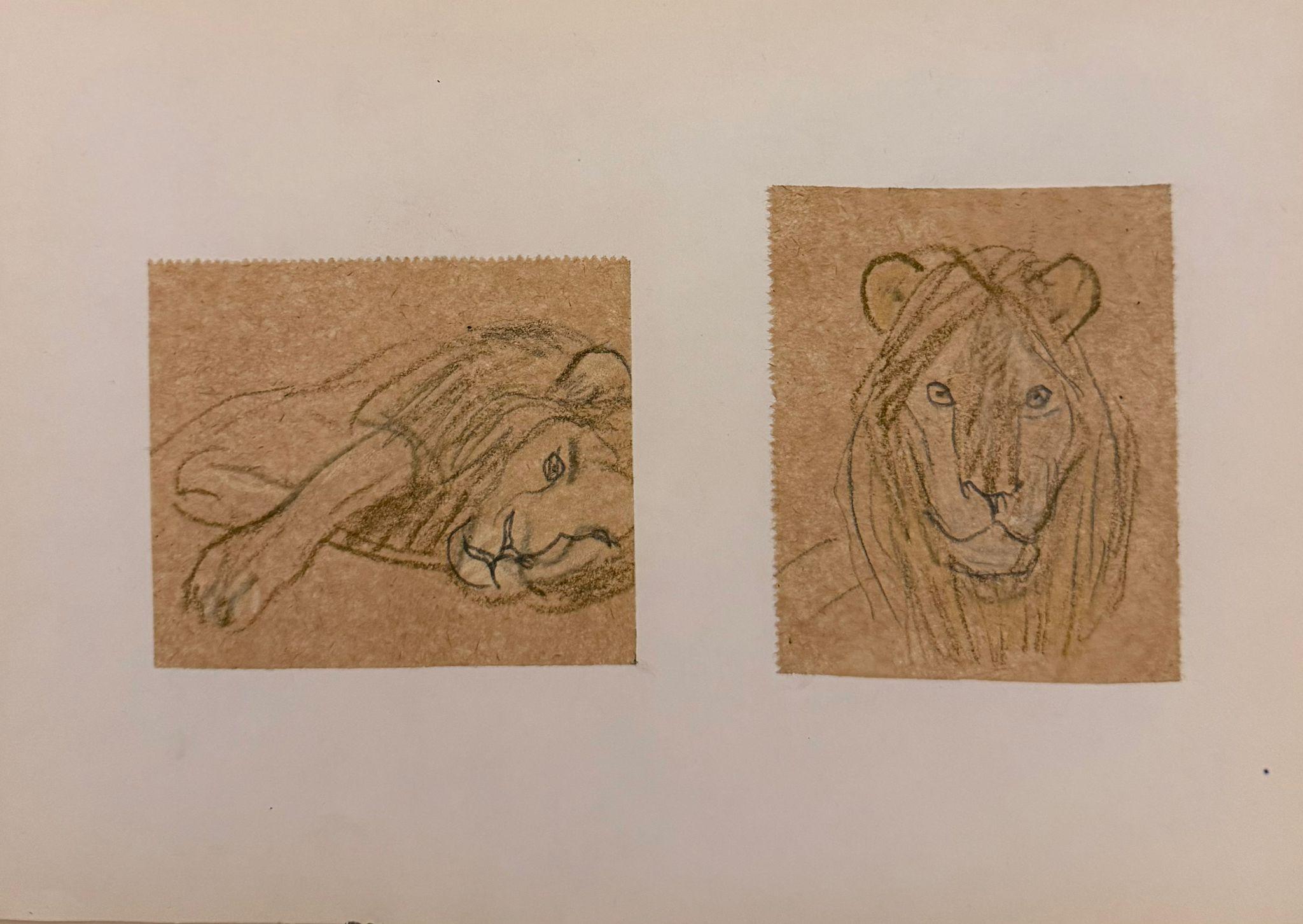 Paired Studies of Lions in Profile 1960
s British Modernist Drawing