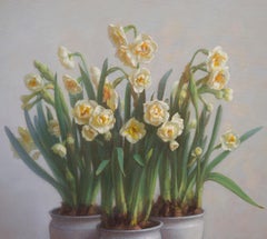 Small garden. Daffodils