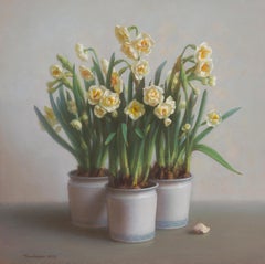 Small garden. Daffodils