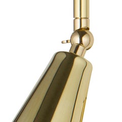 Iris Adjustable Swing Arm Sconce by Marian Jamieson