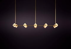 Iris Deca Linear Array Pendant Light by Christopher Boots