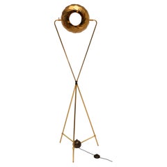 Iris Floor Lamp: Brass Adjustable Shade Focused or Soft Light Reflections