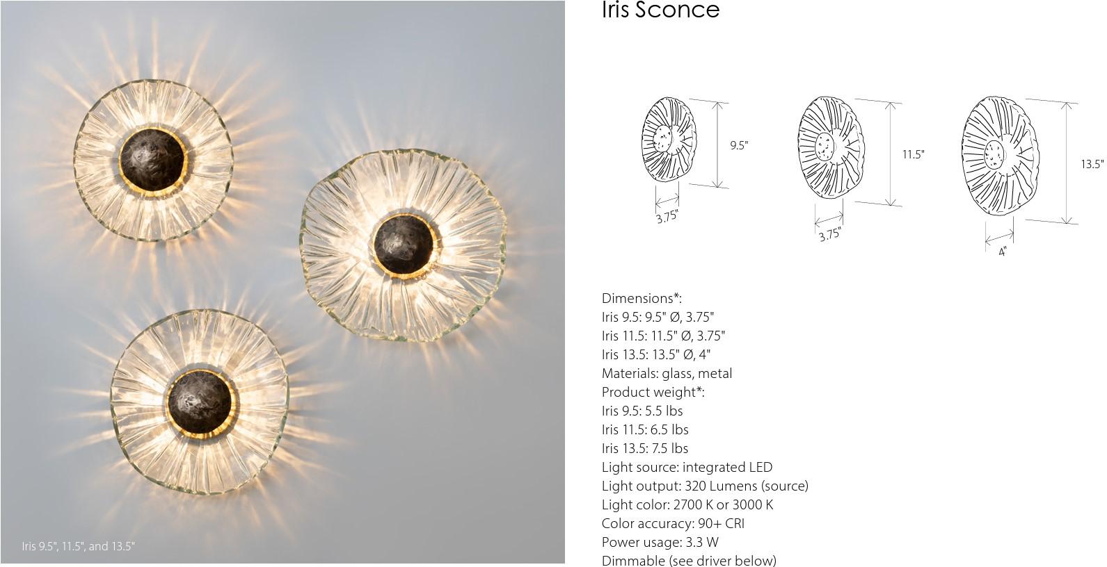 Iris Flush Mount 9.5