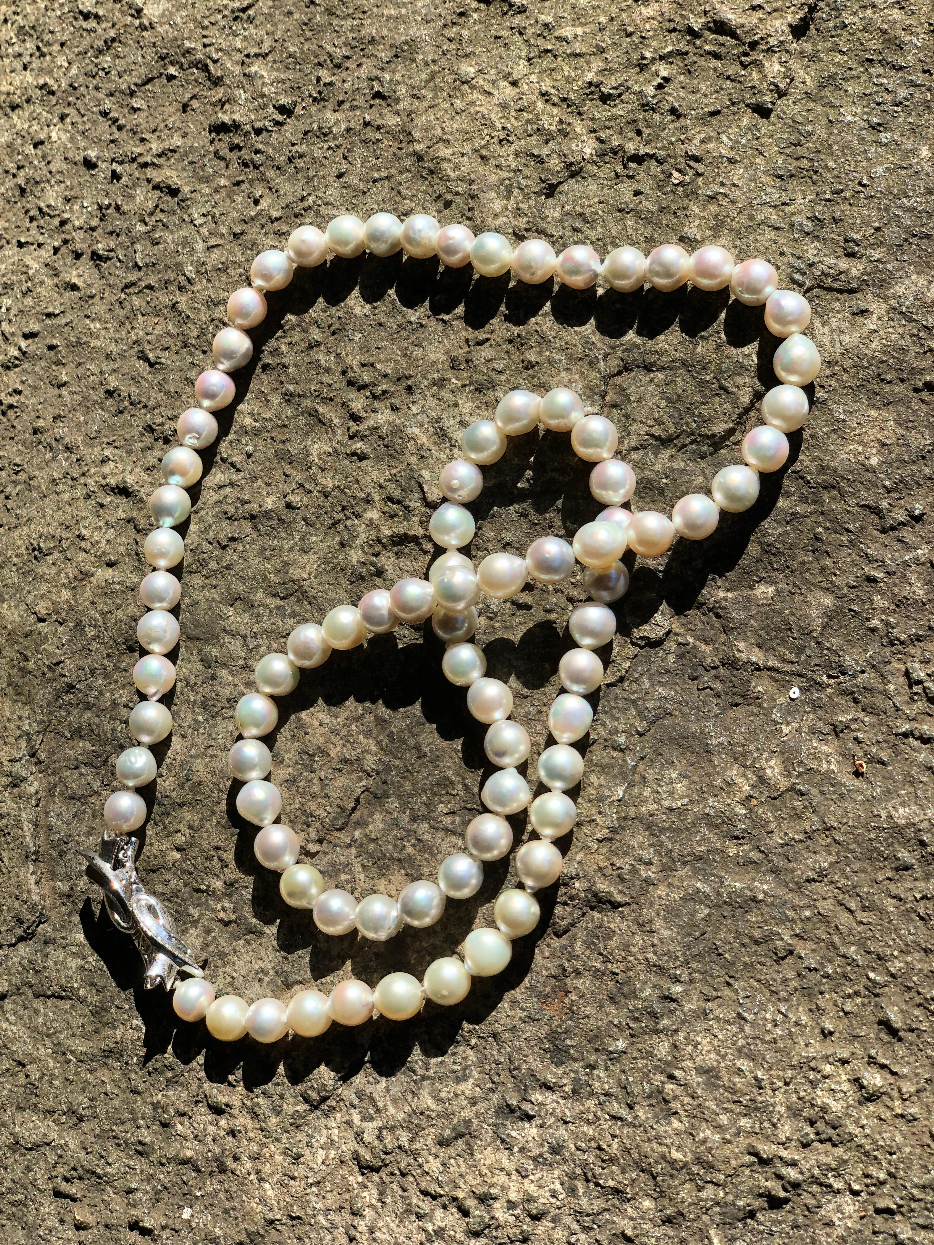 

Creator: IRIS PARURE
Pearl farm: Ehime, Uwajima, JAPAN
Features:Non Colored & Non Bleached, BENI AKOYA®
Size of Pearl: 9.00mm-9.50mm
Number of Pearl: 82

 IRIS PARURE, since its establishment in 1953, has been crafting the finest quality pearl
