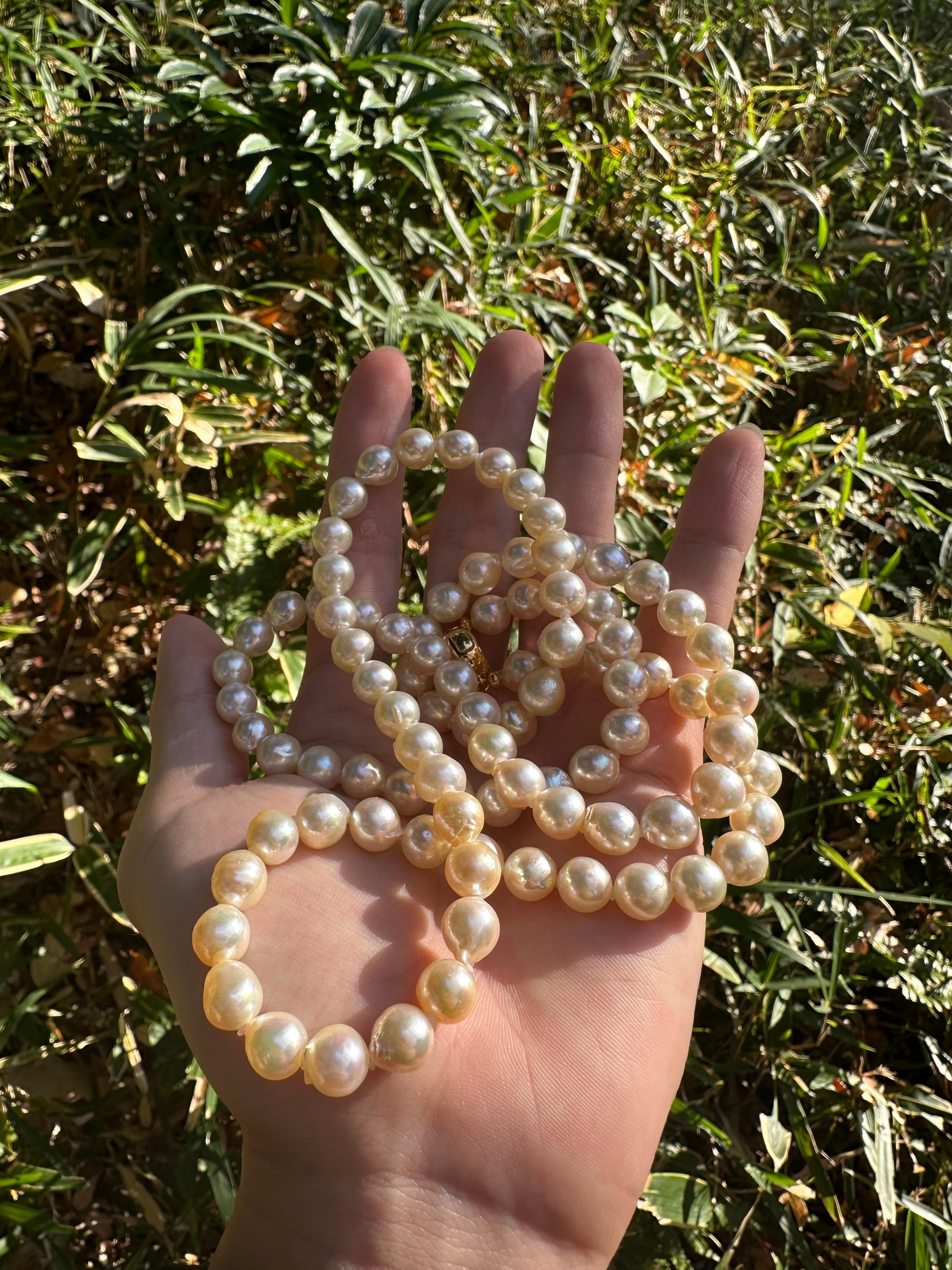 Artisan IRIS PARURE Beni Akoya 8.5mm×94 Pearl Necklace, Non Colored & Non Bleached Pearl For Sale