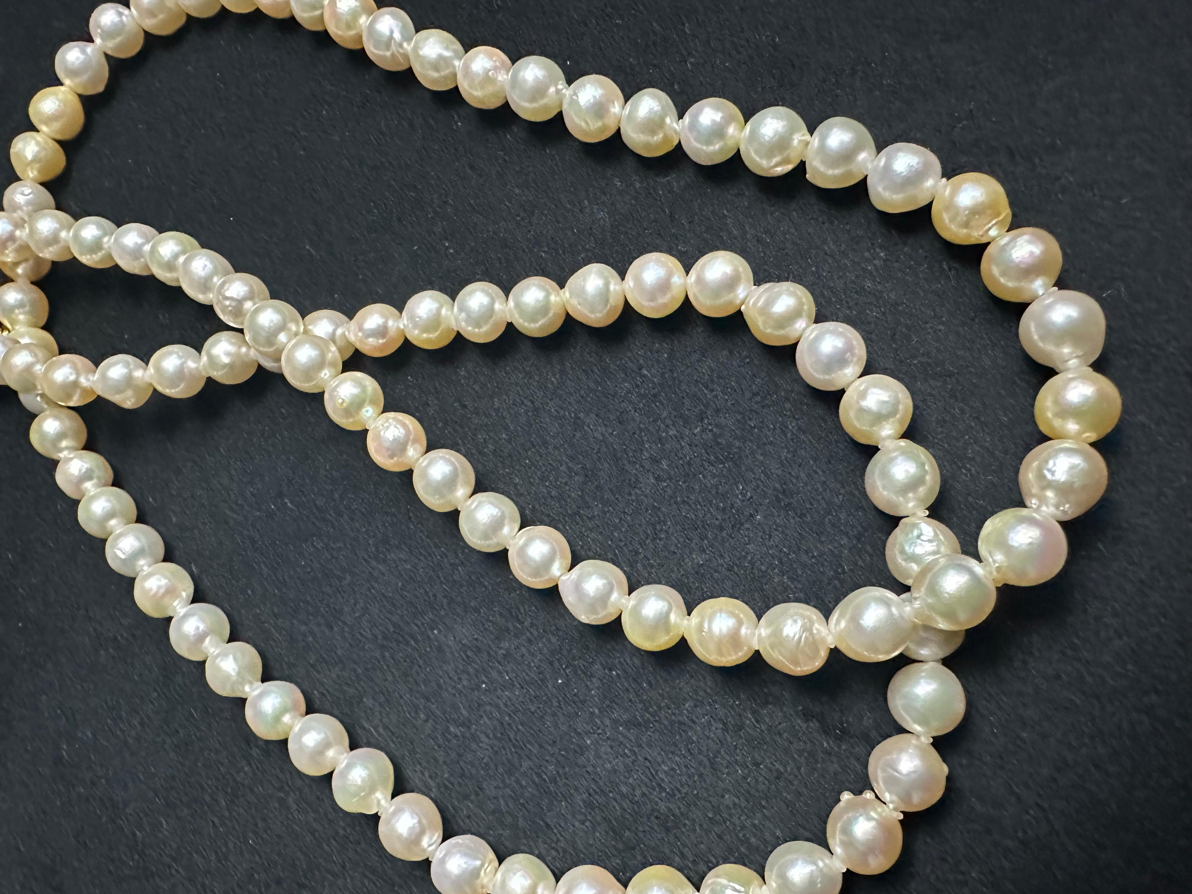 IRIS PARURE Beni Akoya 8.5mm×94 Pearl Necklace, Non Colored & Non Bleached Pearl In New Condition For Sale In Ehime, JP
