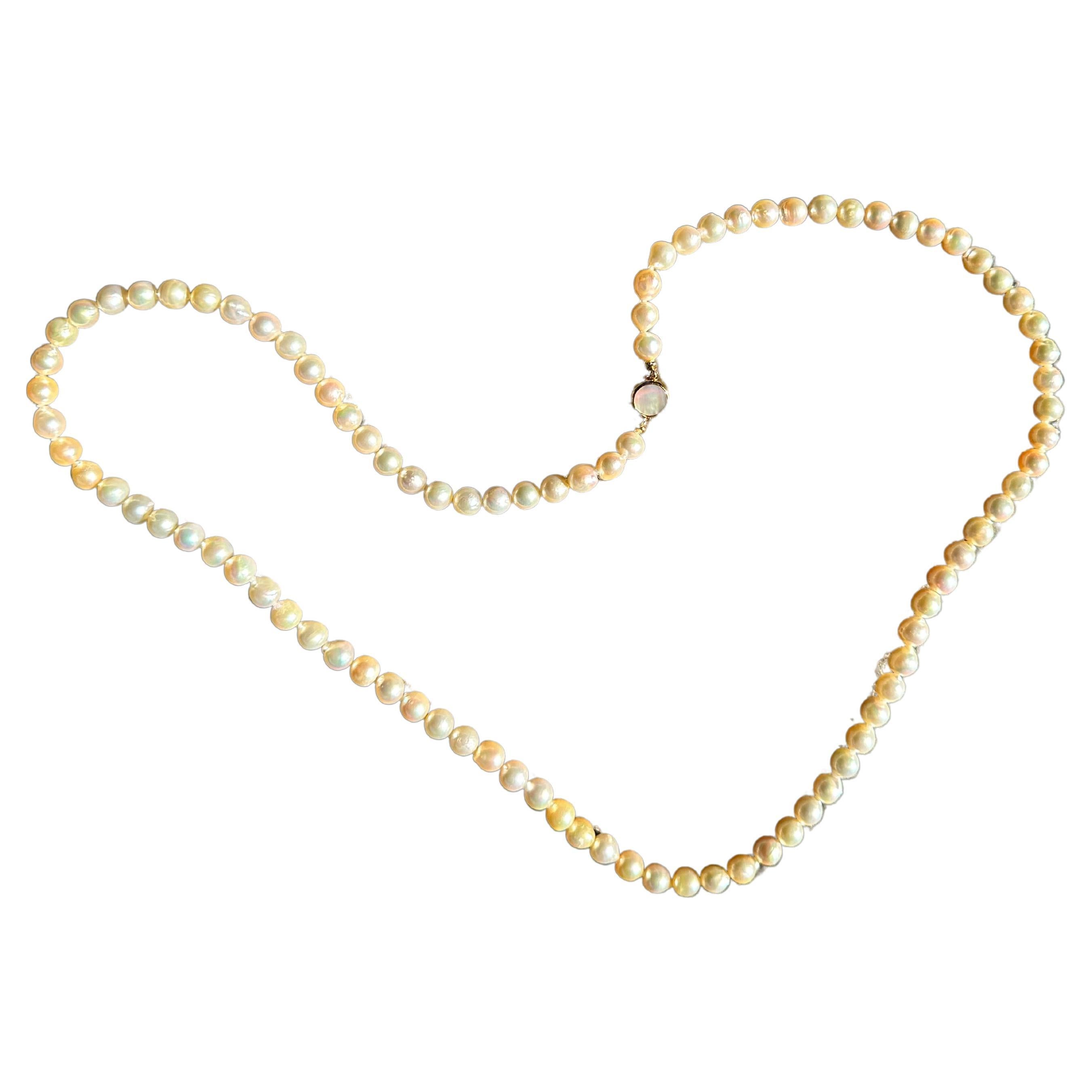 IRIS PARURE Beni Akoya 8.5mm×94 Pearl Necklace, Non Colored & Non Bleached Pearl For Sale