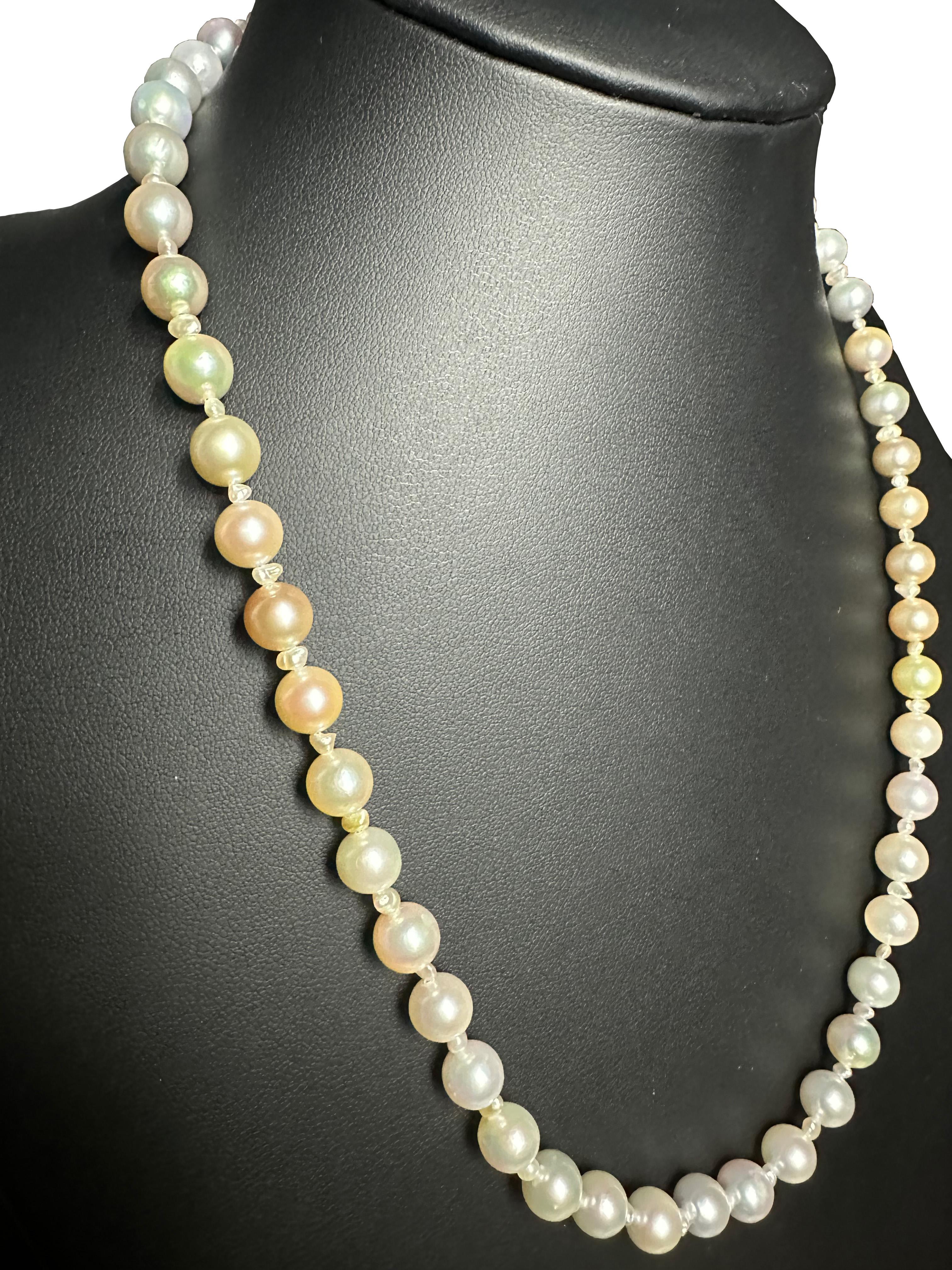 Schöpfer: IRIS PARURE
Perlenfarm: Ehime, Uwajima, JAPAN
Eigenschaften:Nicht gefärbt und nicht gebleicht, BENI AKOYA®
Größe der Perle: 8.0mm-8.50mm
Anzahl der Perlen: 53

 IRIS PARURE stellt seit ihrer Gründung im Jahr 1953 Perlenschmuck von höchster