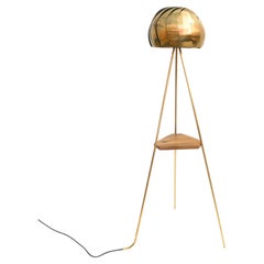 Iris Pod Floor Lamp: Brass Light with Adjustable Shade and Black Walnut Shelf