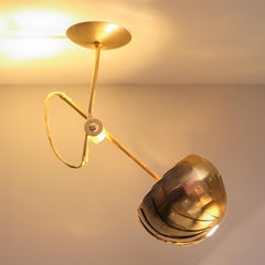 Iris Spot Light: Brass Ceiling Light with Adjustable Shade