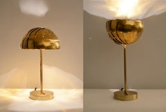 Iris-Tischlampe: Schreibtischlampe aus Messing mit verstellbarem Lampenschirm (8")