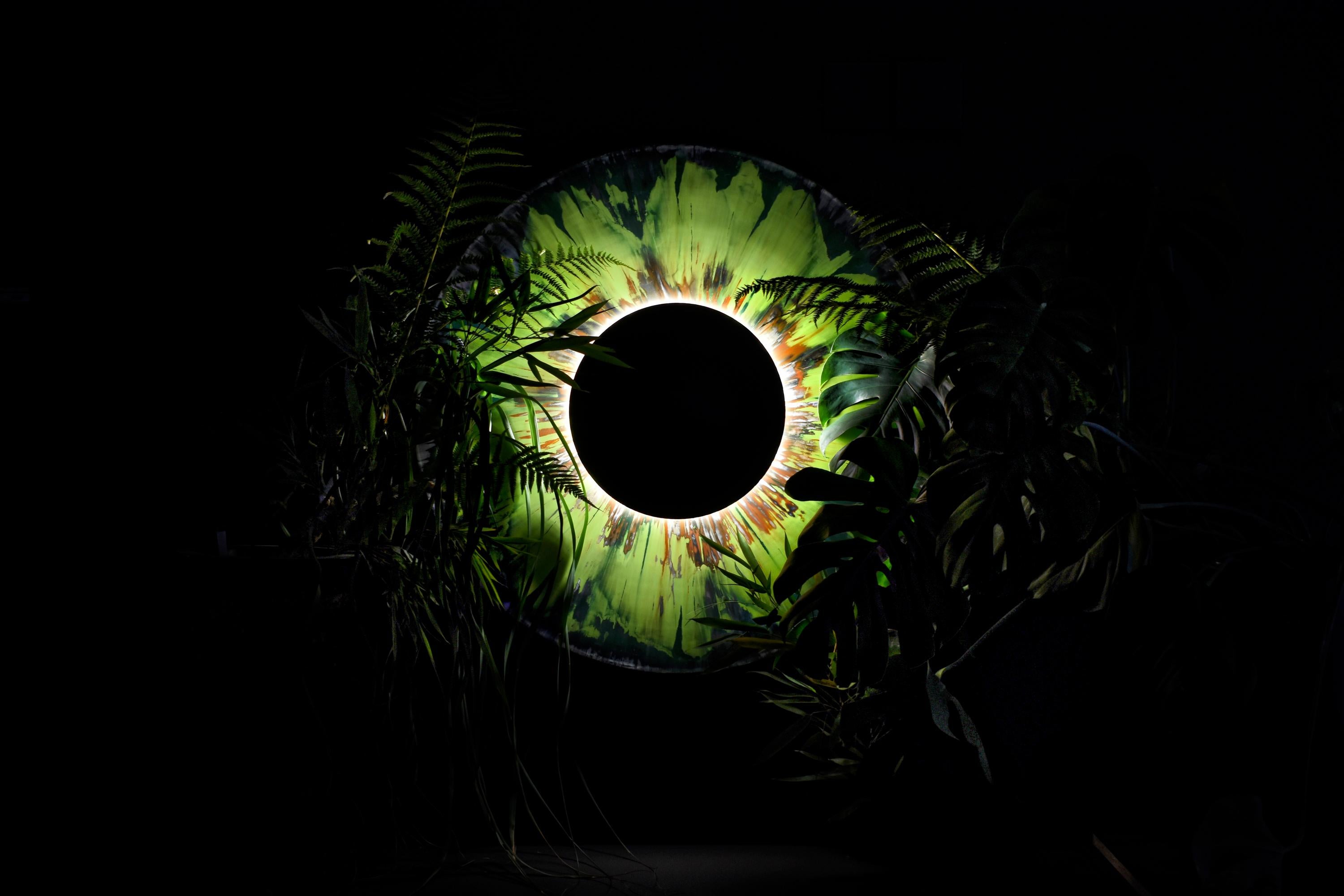 Iris: Wall Lighting Design by Fabian Bollinger Vaciado en venta