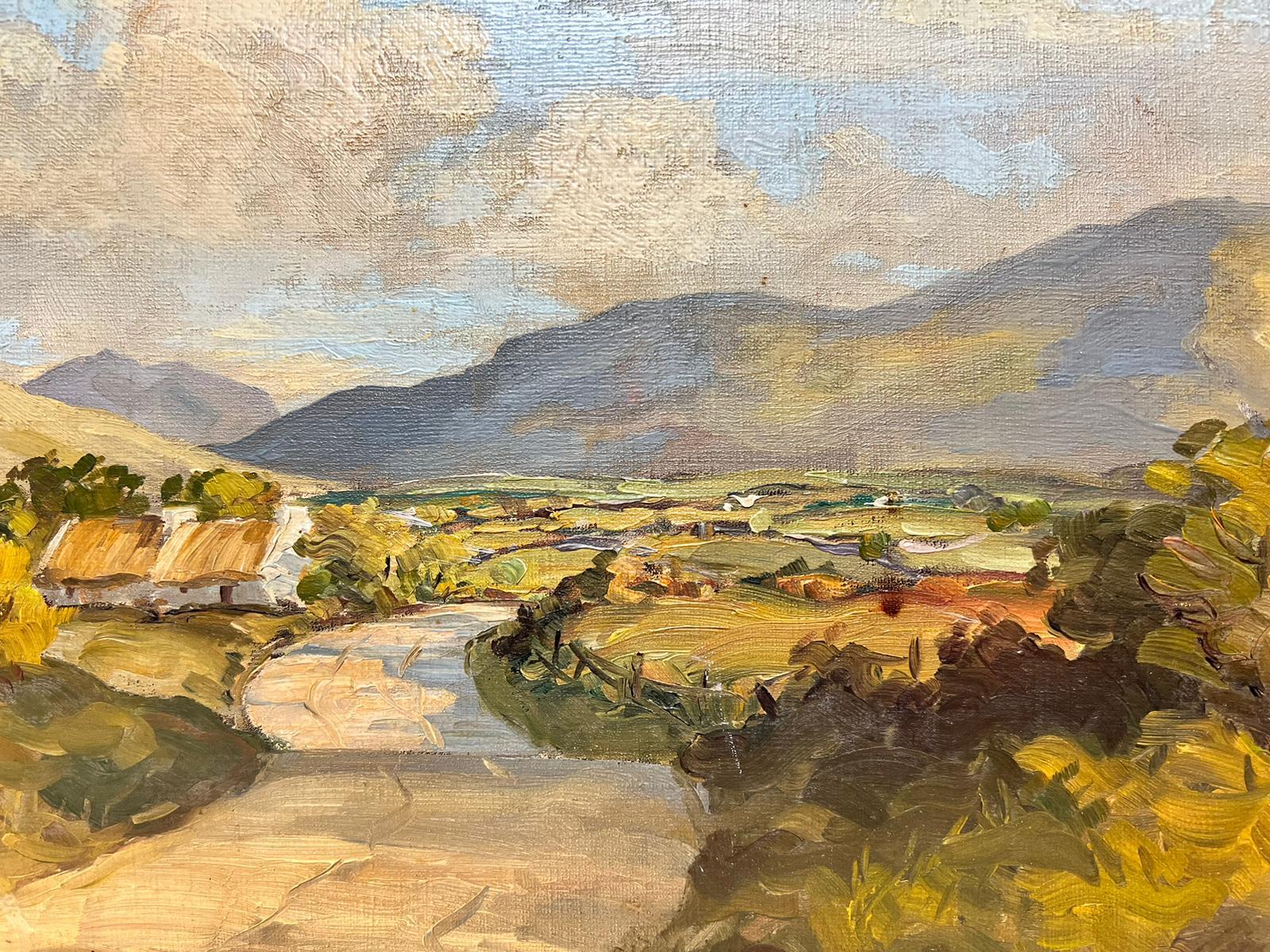Irish School, second half 20th century, 
signed H.J Foy
Mourne Mountains (County Down, Ireland) between Hilltown & Newcastle - inscribed verso
oil on board, framed
11 x 18 inches
9.5 x 16 inches
private collection, UK
the painting is in overall very