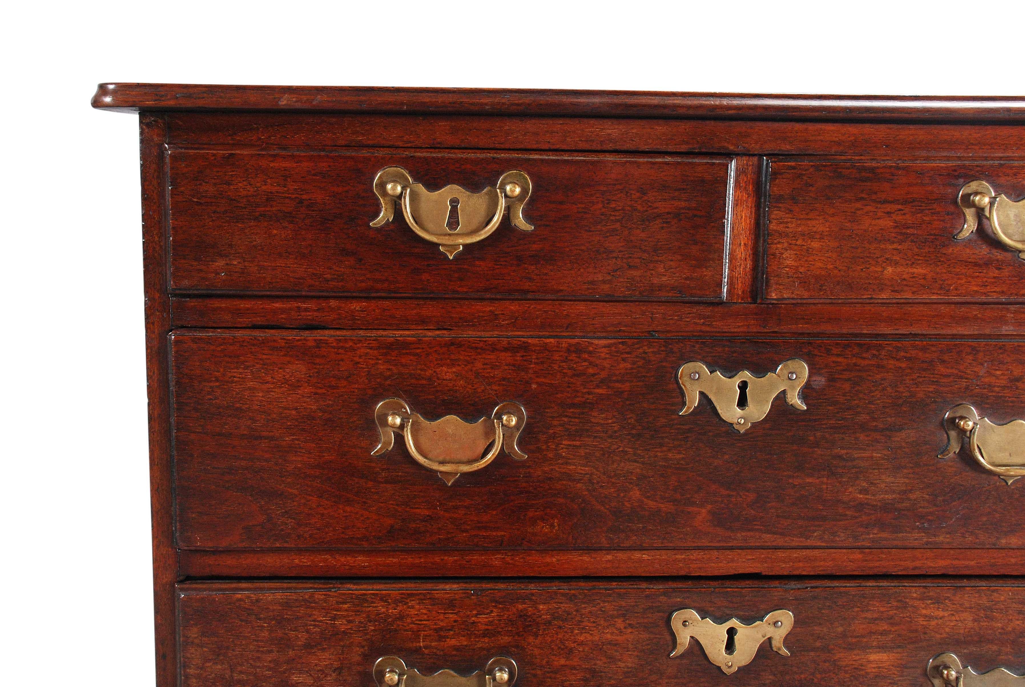 George II Irish Chest on Stand in Solid Walnut For Sale