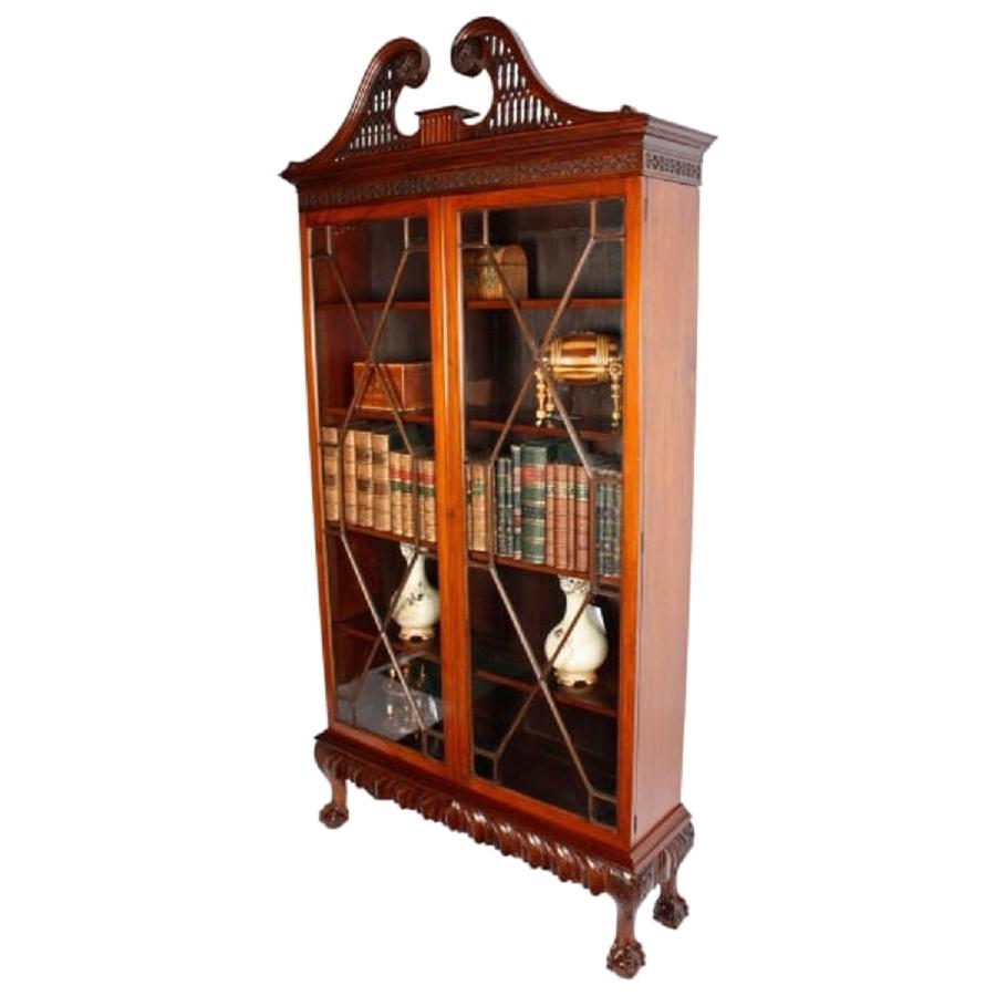 Irish Chippendale Style Cabinet, 19th Century For Sale