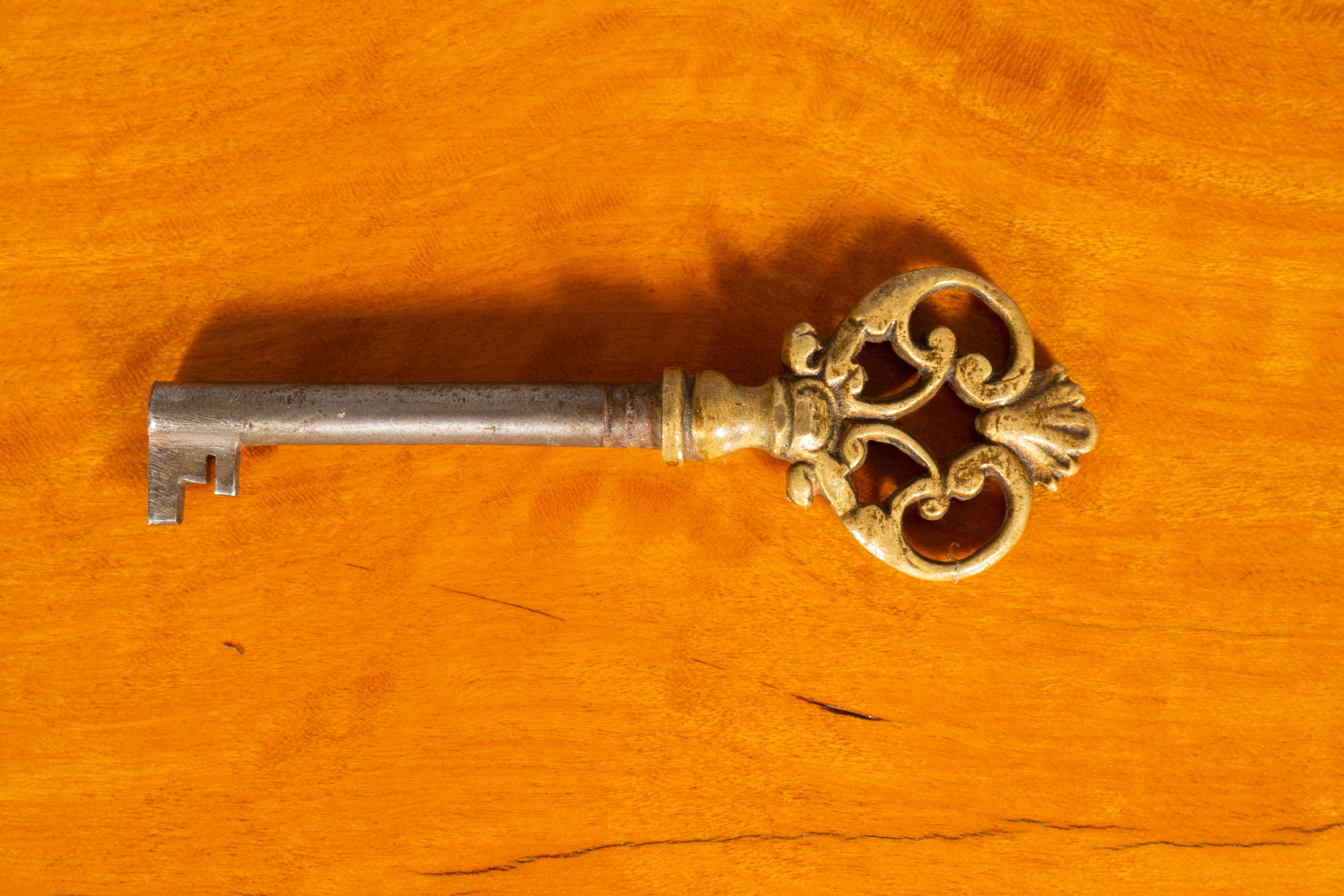 Irischer Beistellschrank aus Seidenholz und Amaranth aus dem späten George III.-Stil im Angebot 13