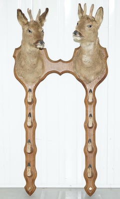 Irish Made Deer Taxidermy of Mounted Heads & Hoofs Coat & Stick Rack circa 1940