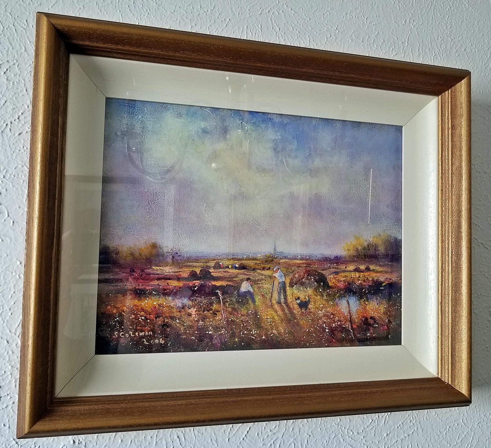 Country Irish Oil on Canvas of Ballaghadereen Bog by Seamus Coleman For Sale