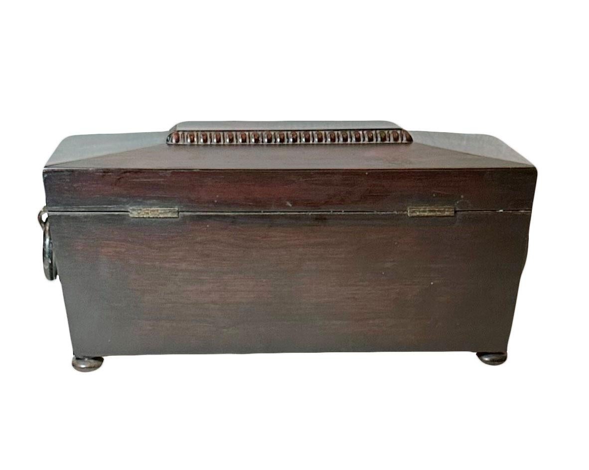 Irish Regency Tea Caddy For Sale 4