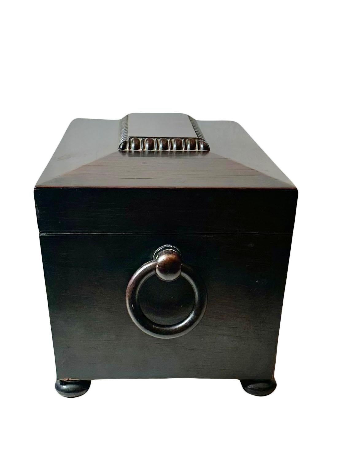 Irish Regency Tea Caddy For Sale 3