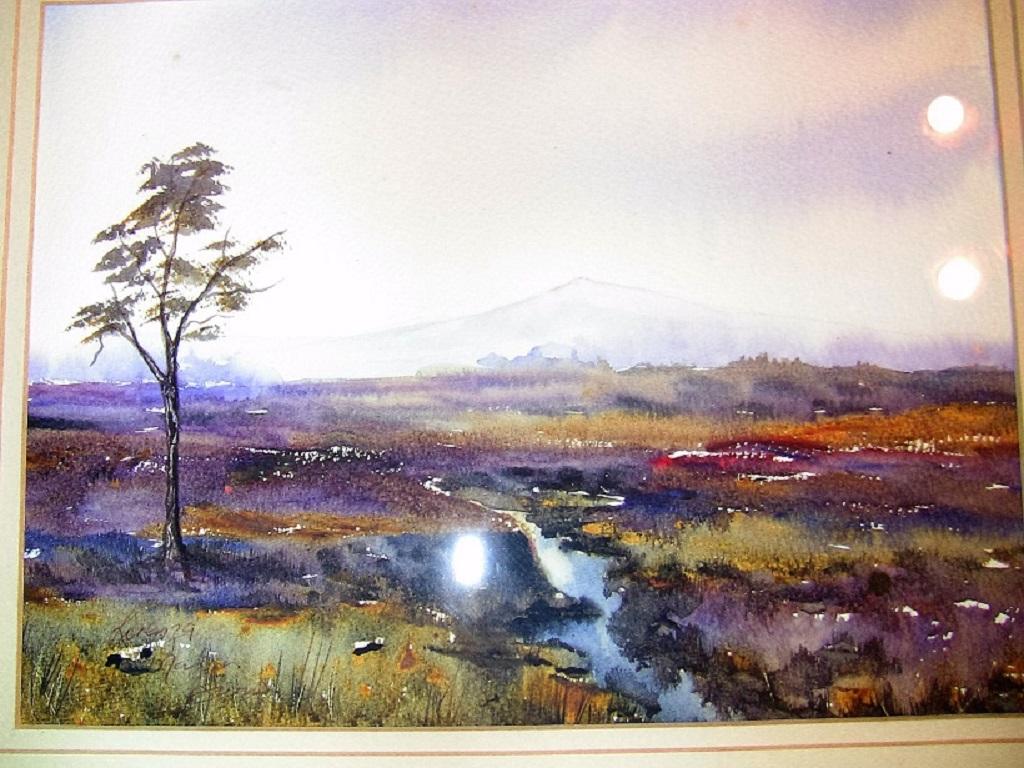 Irish Watercolor by L Burns of Croghan Bog In Excellent Condition In Dallas, TX