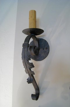 Iron Acanthus Leaf Sconce