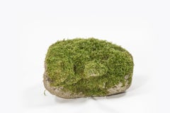 Moosbedeckte Granitfigur aus der Eisenzeit, gefunden in der Grafschaft Waterford