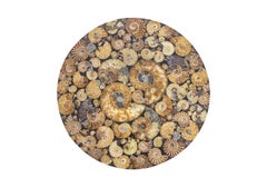 Guéridons en fer et Ammonite fossilisée, années 1980