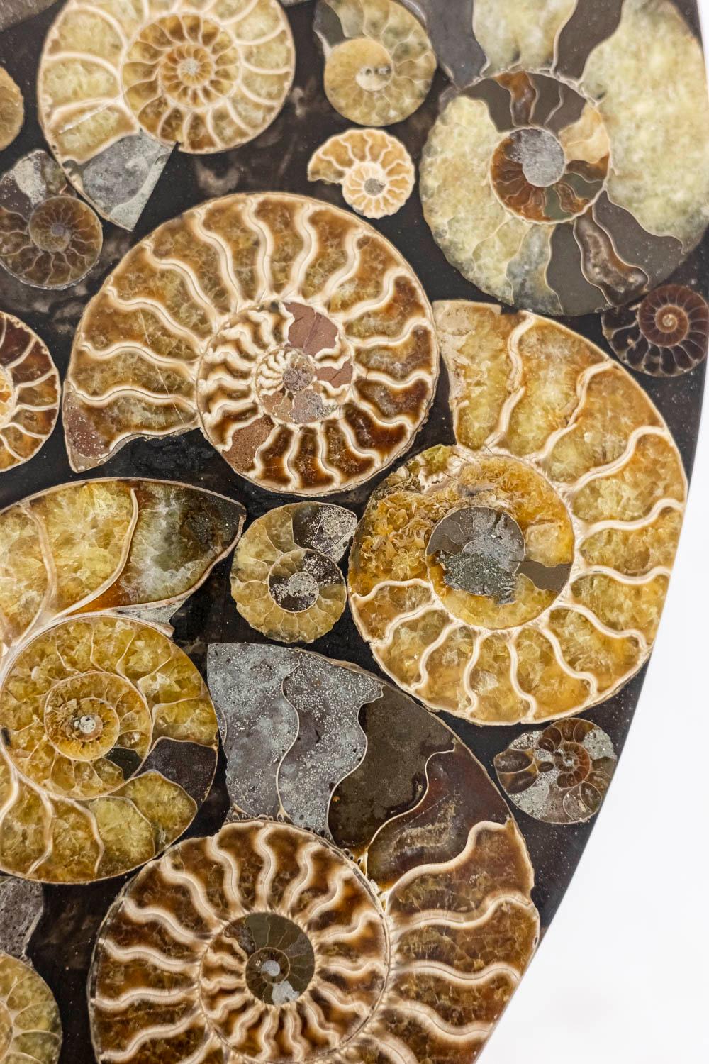 Metal Iron and Fossilized Ammonite Pedestal Tables, 1980's
